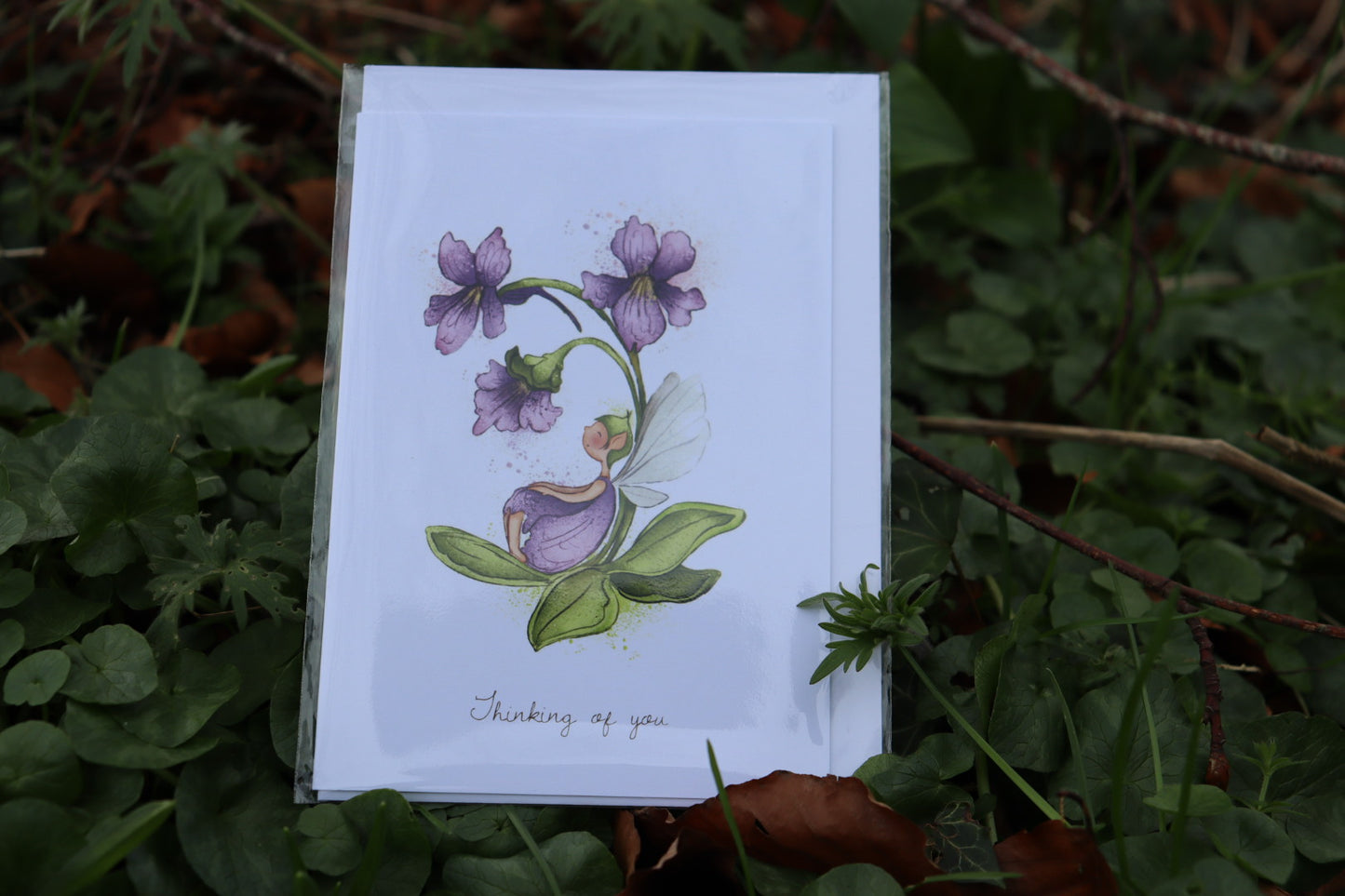 Burren Flower Fairies Greeting Cards