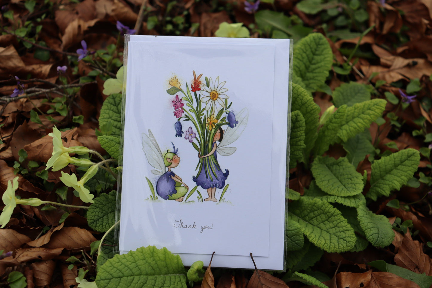 Burren Flower Fairies Greeting Cards