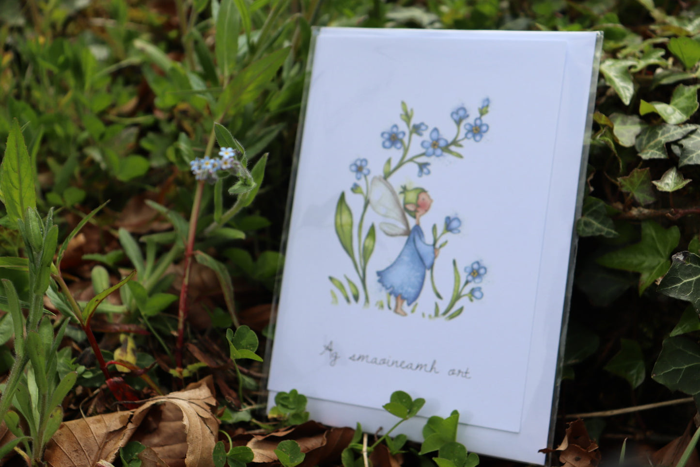 Burren Flower Fairies Greeting Cards