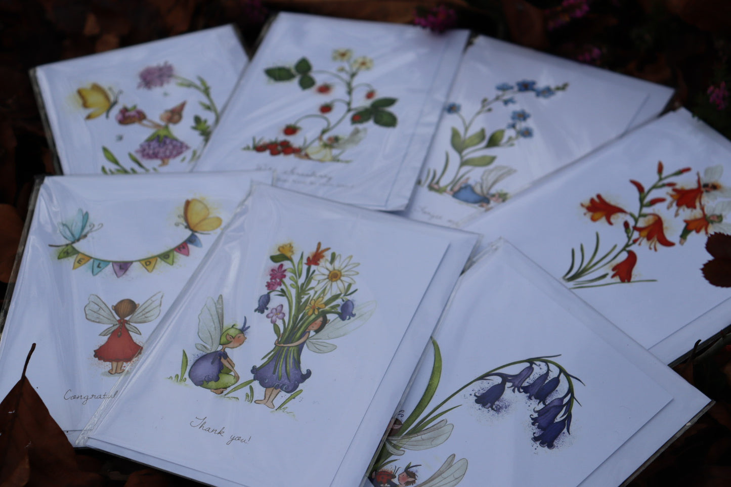 Burren Flower Fairies Greeting Cards