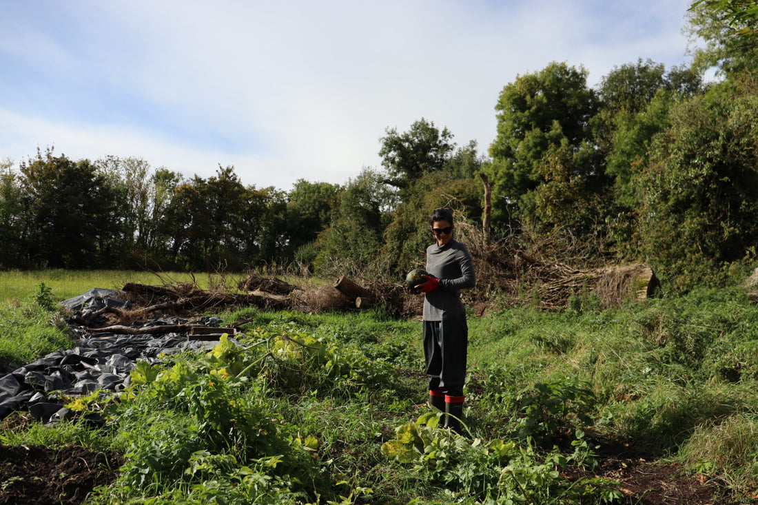 Living a Life of Sustainability