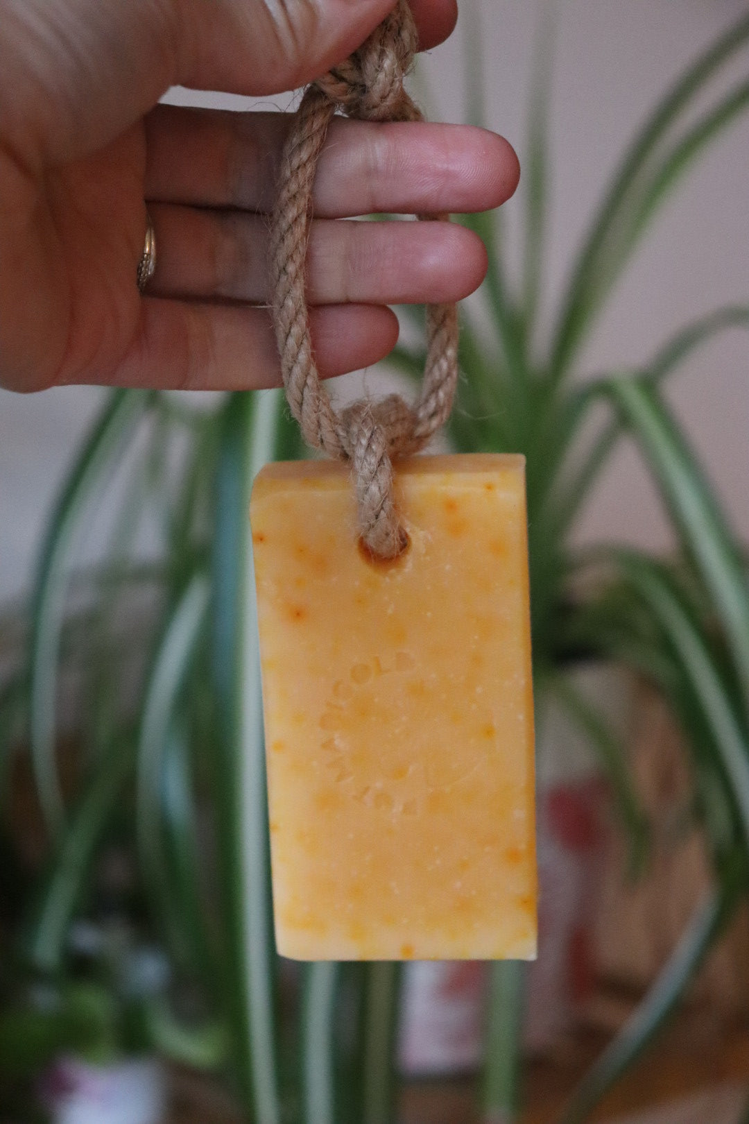 Soap on a rope
