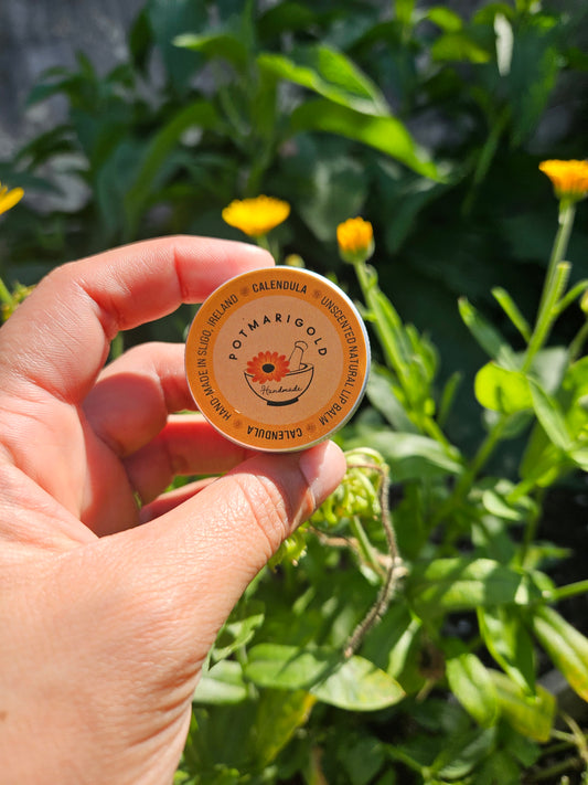 Soothing Calendula Lip Balm